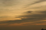 IMG_3976