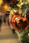 IMG_0027mm