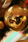 IMG_0176mm