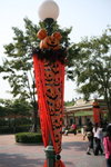 DPP_0005