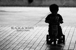 Last album 223