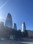 IMG_4539