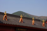 DSC07863
