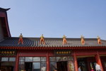 DSC07865