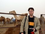 Camel Market 駱駝市場 (02)