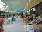 Fruit and Vegetable Market 蔬果市場 (08)