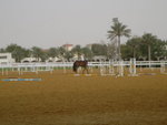 Racing and Equestrian Club 馬術俱樂部 (06)