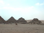Saqqara (Sakkara) Pyramids
階梯 (莎卡拉) 金字塔