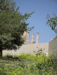 The Jerash Site 古羅馬建築群 (001)