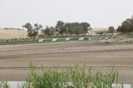 1S0A3706
