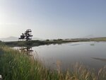 IMG_5494