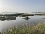 IMG_5498