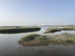 IMG_5504