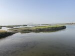IMG_5506