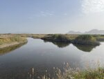 IMG_5509