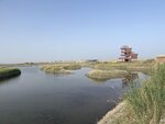 IMG_5510