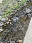 IMG_5712