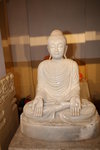 1S0A6867