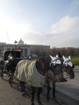 Hofburg Imperial Palace 霍夫堡