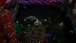 DSC05377