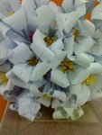 DSC00120