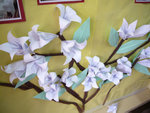 lily