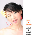 DPP_252_copy
