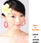 DPP_261_copy