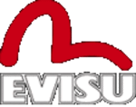 evisu_logo