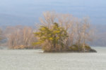 _DSC8496