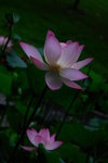 DSC01027