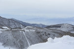 _DSC7696
