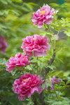 _DSC7951
