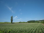 IMG_0561