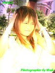 sde