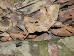 IMG_0020
