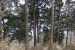 DSC00148