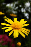 DSCN0249