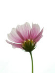 DSCN0216