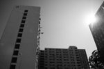 IMG_3597m