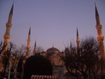CIMG0202