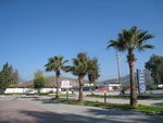IMG_0009