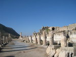IMG_0021