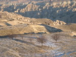 IMG_0381
