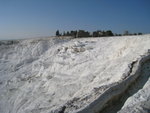 IMG_0181
