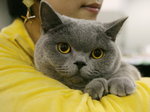 Casper