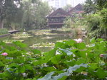 DSCN8362