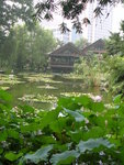 DSCN8363