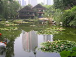 DSCN8364