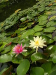 DSCN8366